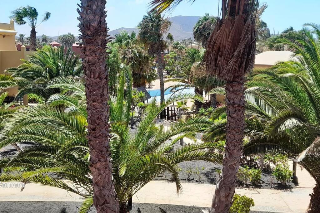 Apartment Cumbre Vieja Fuerteventura Corralejo Exterior foto