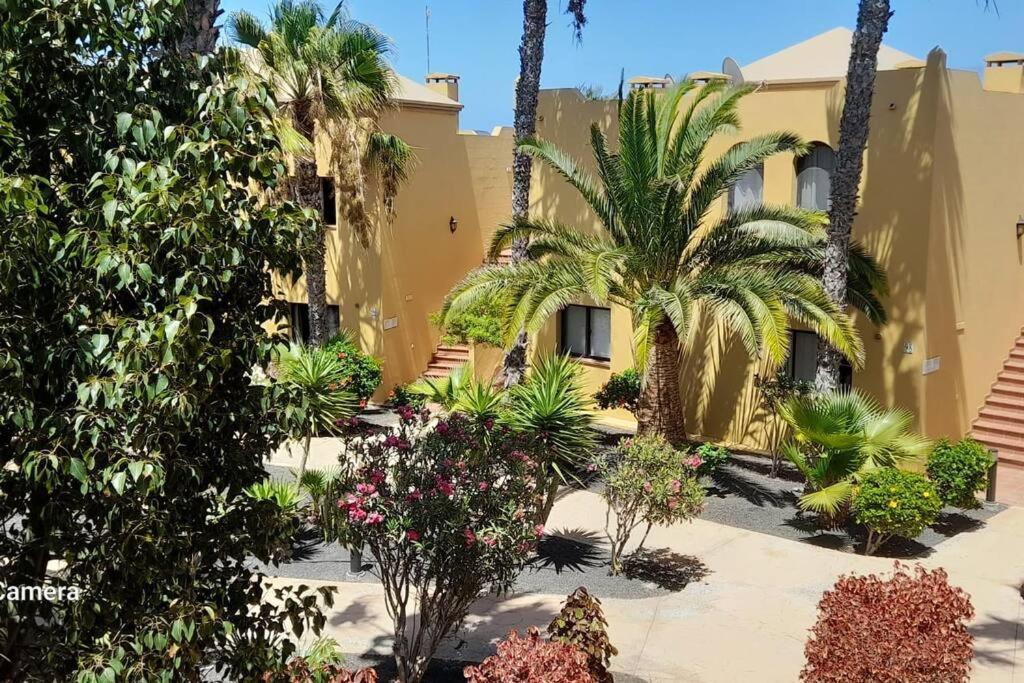Apartment Cumbre Vieja Fuerteventura Corralejo Exterior foto